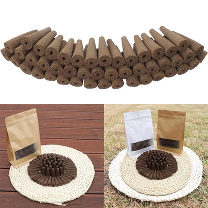 50Pcs Seed Grow Sponges