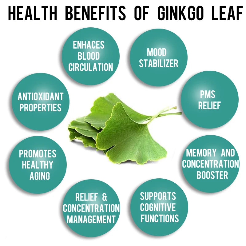 Ginkgo Biloba Brain Supplement