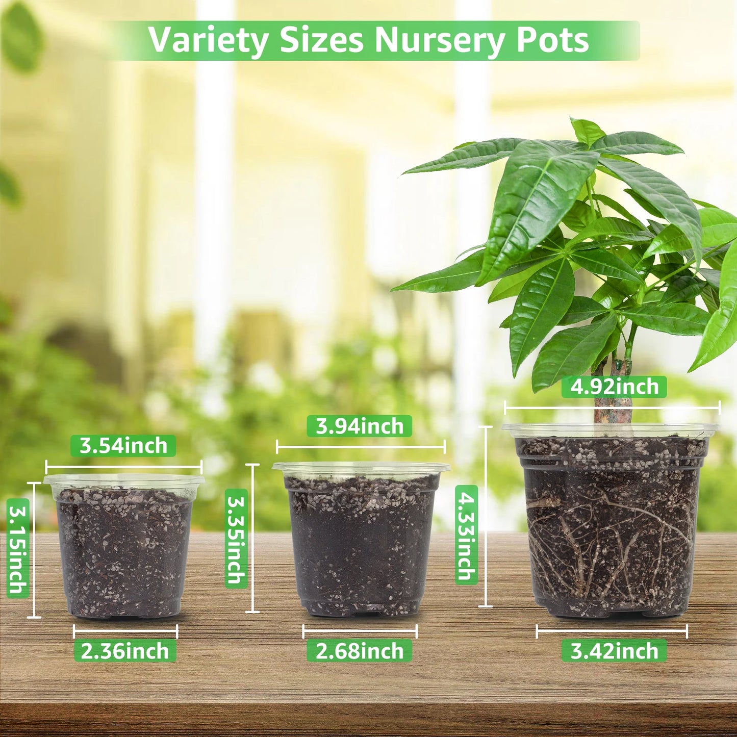 30 Packs 3.5/4/5 Inch Clear Nursery Pots