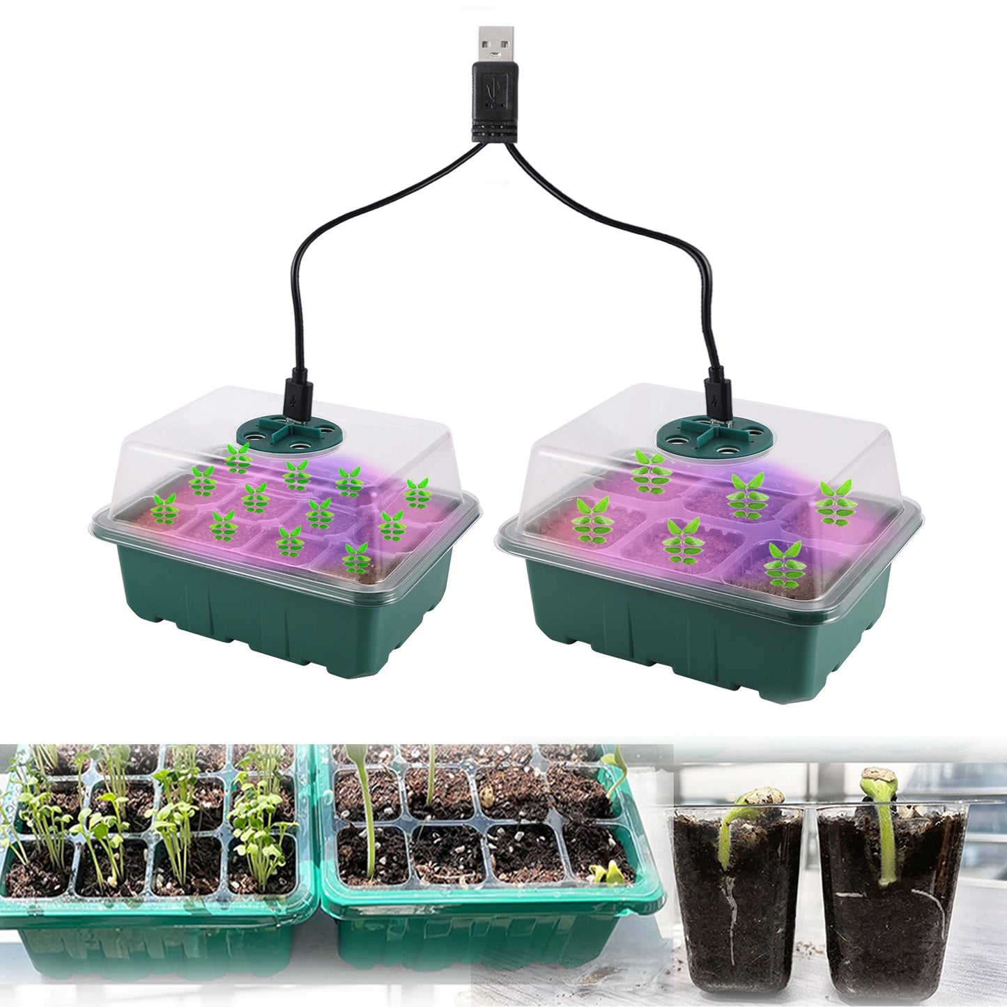 Seed Starter Tray Box With LED Grow Light