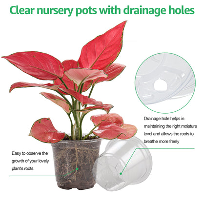 30 Packs 3.5/4/5 Inch Clear Nursery Pots